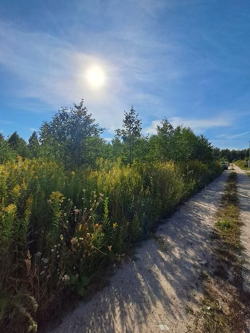 Działka Pęclin gm. Wiązowna