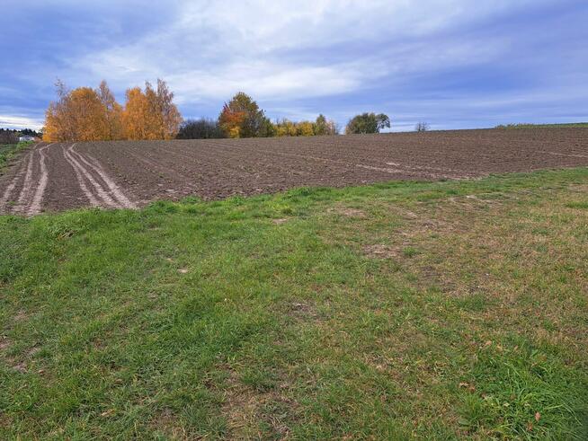 Działka siedliskowa Szczodrkowice gm. Skała