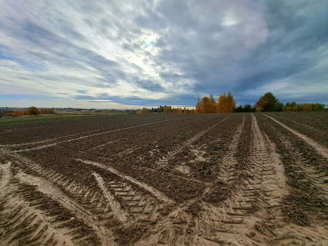 Działka siedliskowa Szczodrkowice gm. Skała