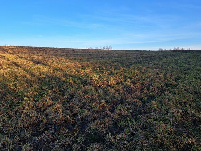 Działka budowlana Iwanowice Włościańskie gm. Iwanowice Sułkowice