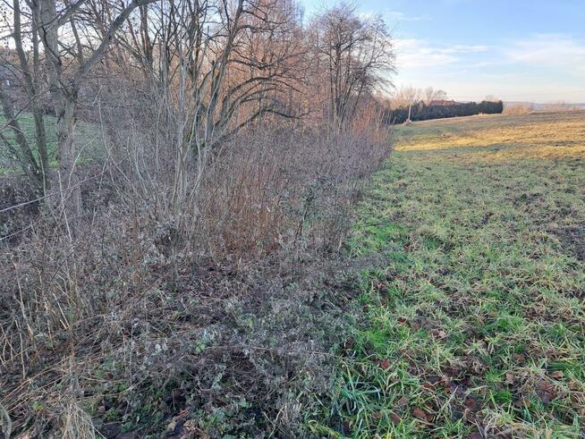 Działka budowlana Iwanowice Włościańskie gm. Iwanowice Sułkowice