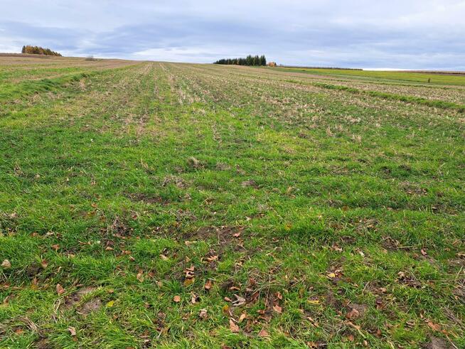 Działka budowlana Stoki gm. Skała