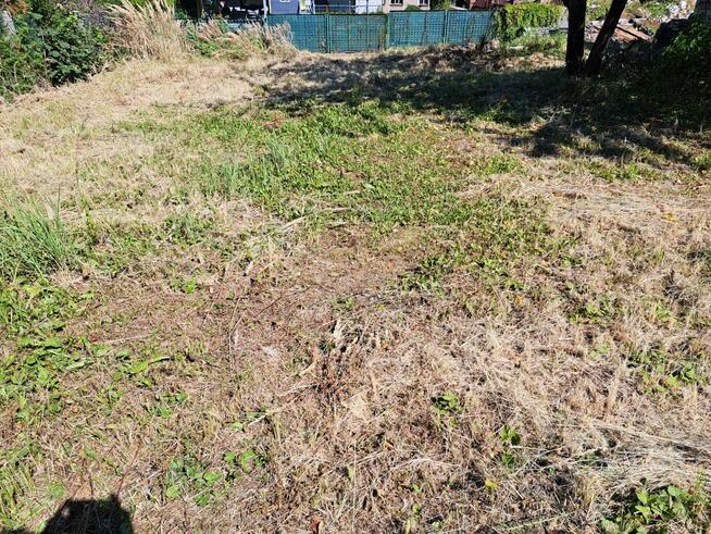 Działka budowlana Skała