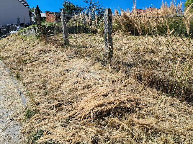 Działka budowlana Skała