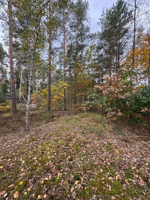 Działka budowlana Warszawa Wesoła, Zielona