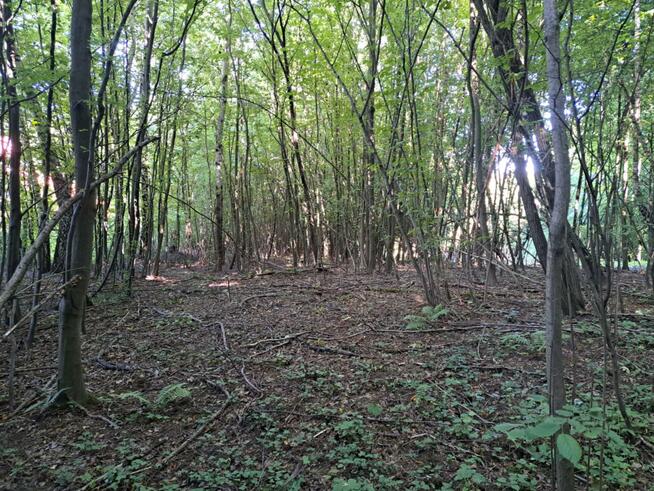 Działka budowlana Łazy gm. Jerzmanowice-Przeginia