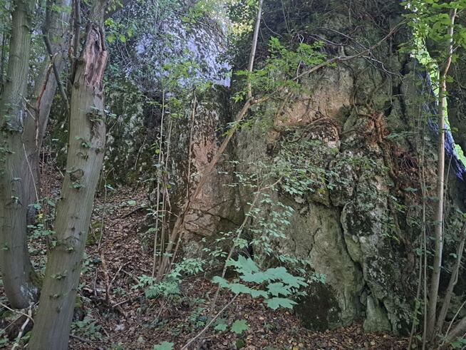 Działka budowlana Łazy gm. Jerzmanowice-Przeginia