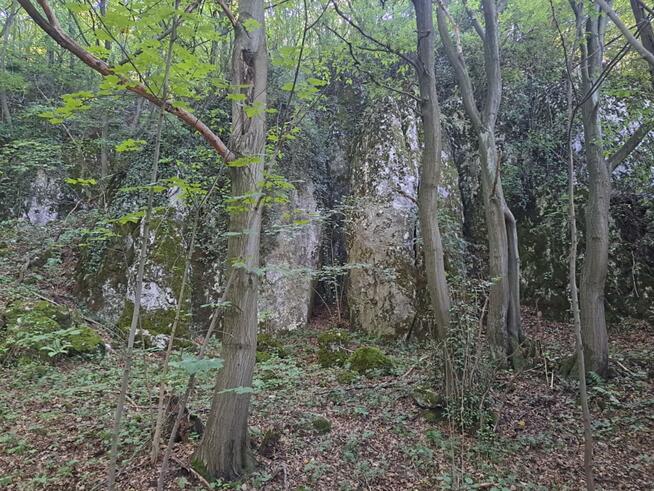 Działka budowlana Łazy gm. Jerzmanowice-Przeginia