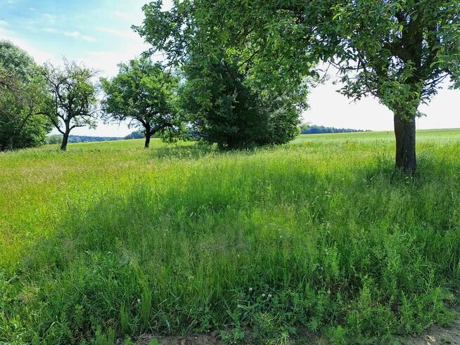 Dom Tarnawa gm. Trzyciąż