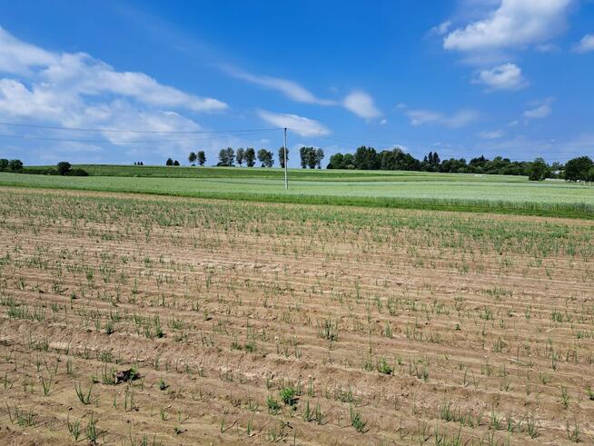 Dom Tarnawa gm. Trzyciąż