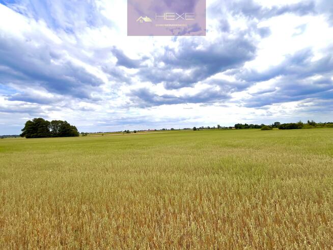 Działka rolna Raków gm. Pacyna