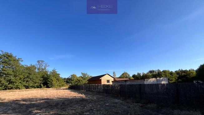 Dom Teodorów gm. Szczawin Kościelny