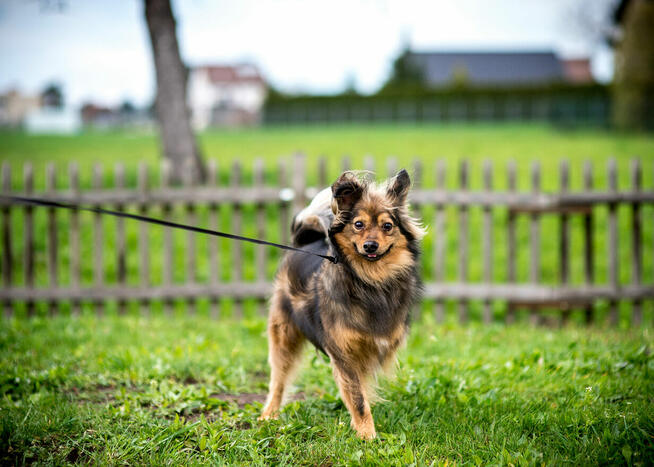 MACGYVERchce kontaktu z człowiekiem–bądź mu na smutek lekiem