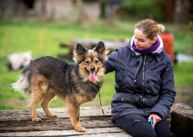 MACGYVERchce kontaktu z człowiekiem–bądź mu na smutek lekiem
