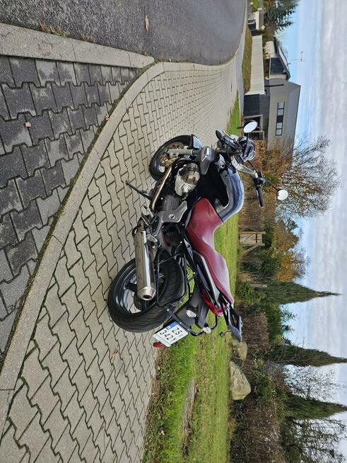 Moto guzzi breva 1100, przygotowany do sezonu, możliwa zamia