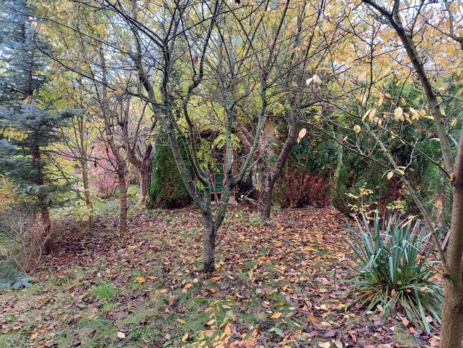 Działka rekreacyjno-ogrodowa