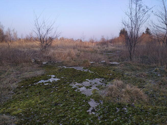 Nieruchomość na sprzedaż