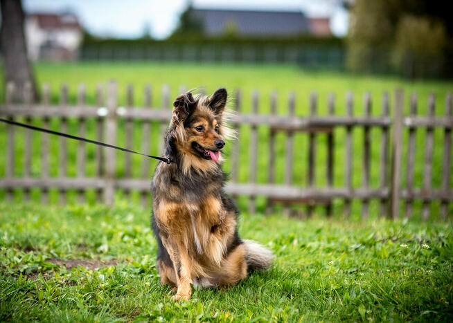 MACGYVERchce kontaktu z człowiekiem–bądź mu na smutek lekiem
