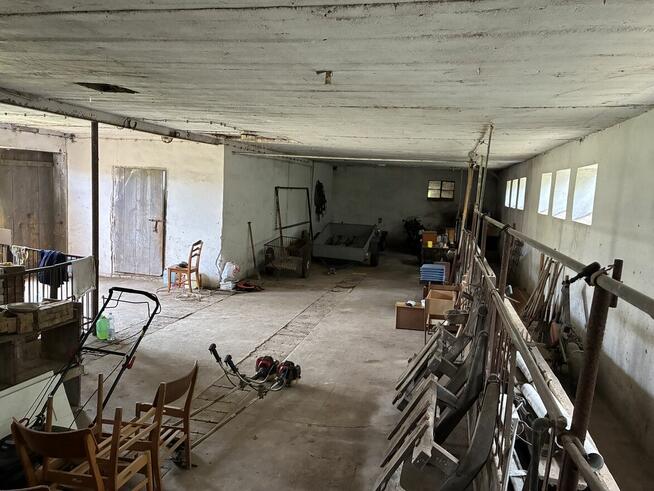 Siedlisko / dom + budynki gospodarcze w Sobieszyn, 1 h dojaz