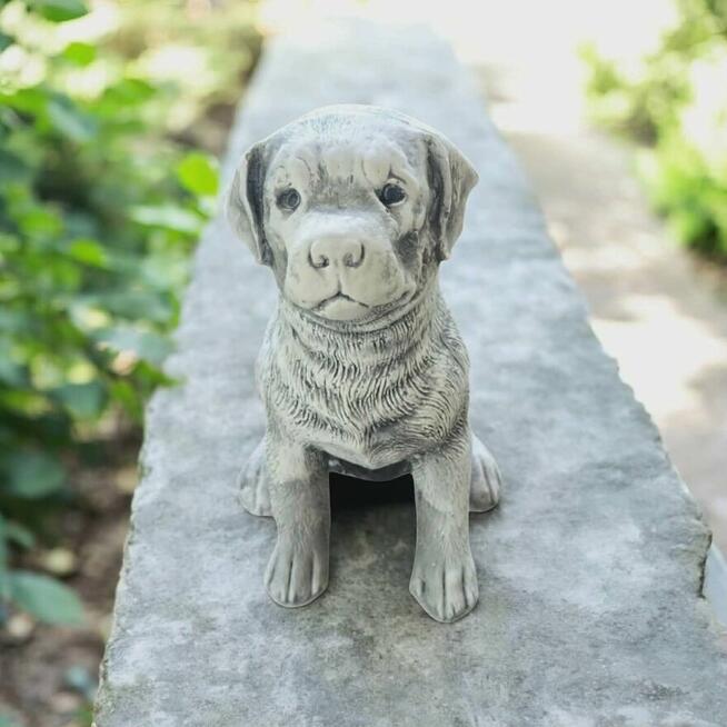 Piesek z gipsu dekoracja ogrodowa figurki ogrodowe