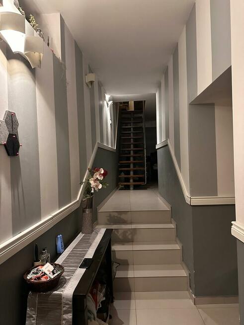 Czeladź, bliźniak w stanie do zamieszkania