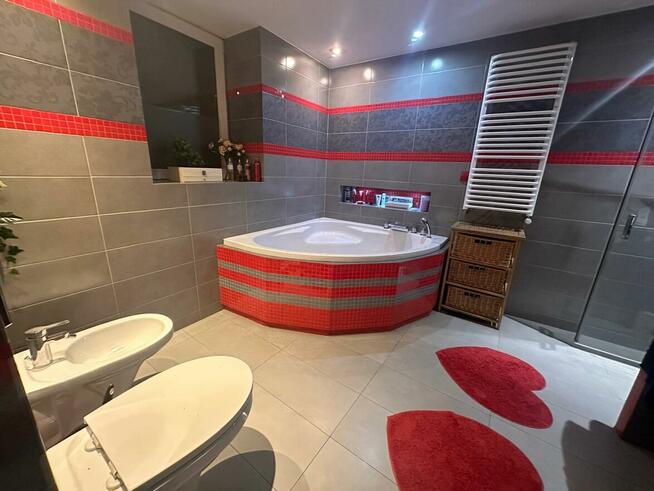 Czeladź, bliźniak w stanie do zamieszkania