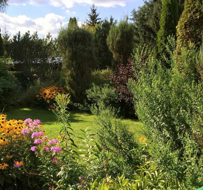 Działka rekreacyjna ROD