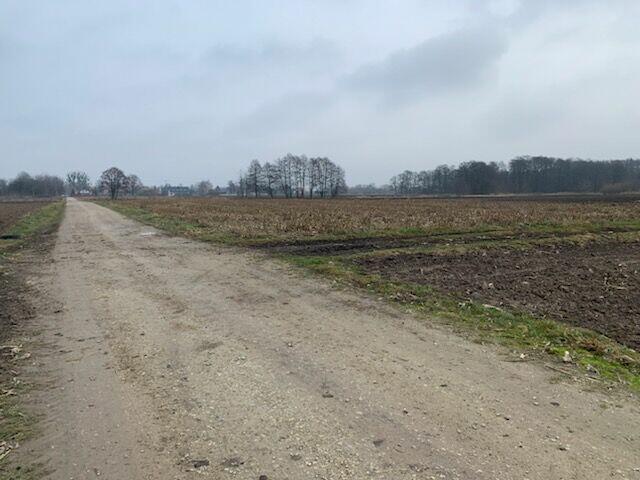 Wiskitki , ziemia rolna - dzierżawa