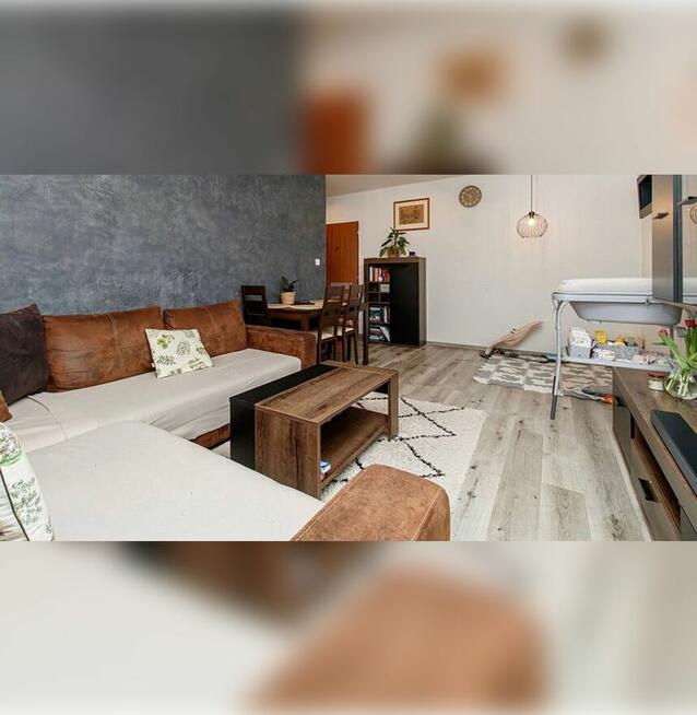 Przytulne mieszkanie 38 m² wynajem