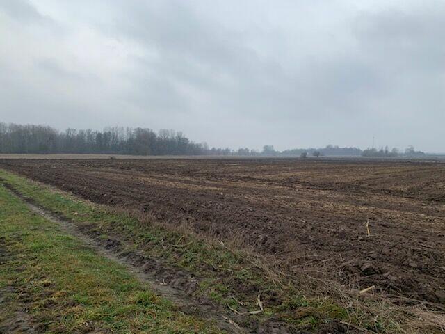 Wiskitki , ziemia rolna - dzierżawa