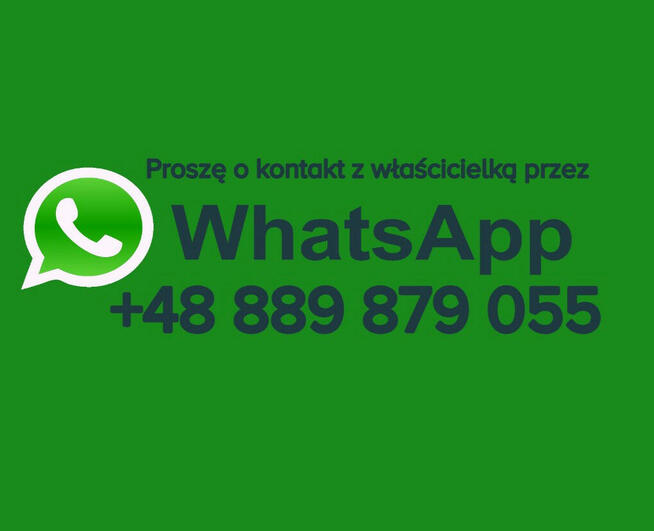 Wynajem 1-pokojowego mieszkania