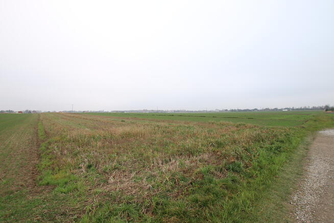 Działka budowlana 39a Lisów g. Lubartów (sieć-gaz)