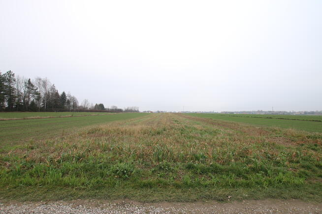 Działka budowlana 39a Lisów g. Lubartów (sieć-gaz)