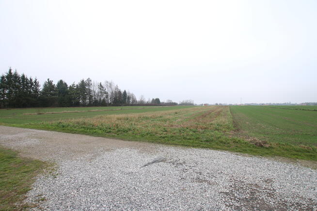 Działka budowlana 39a Lisów g. Lubartów (sieć-gaz)