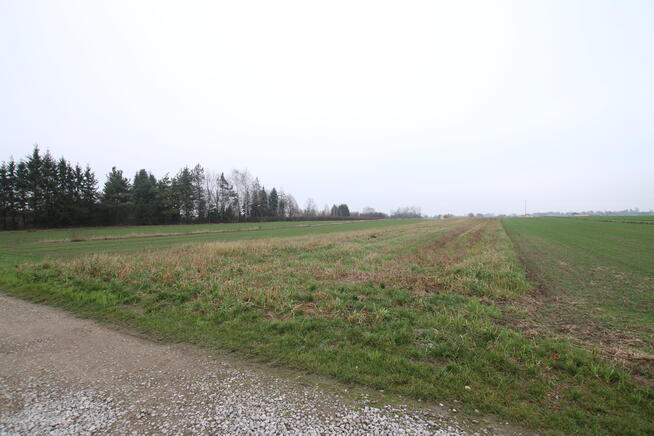 Działka budowlana 39a Lisów g. Lubartów (sieć-gaz)