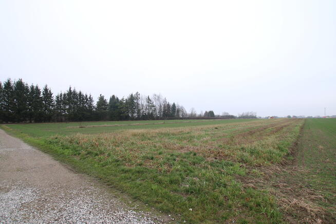 Działka budowlana 39a Lisów g. Lubartów (sieć-gaz)