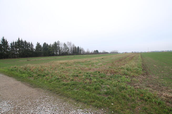 Działka budowlana 39a Lisów g. Lubartów (sieć-gaz)