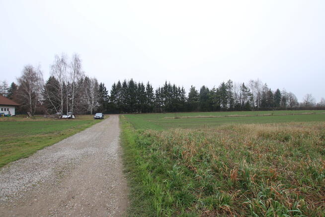 Działka budowlana 39a Lisów g. Lubartów (sieć-gaz)