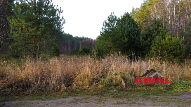 Działka budowlana Leśniewo gm. Puck, Mikołaja Reja