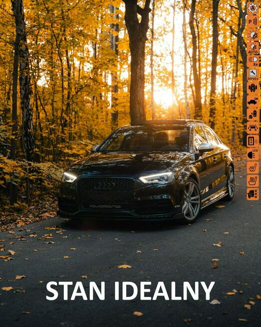 Audi S3 IDEALNY STAN MECHANICZNY,AUTOMAT,BOGATE WYPOSAŻENIE,300 kM, BENZYNA2.0