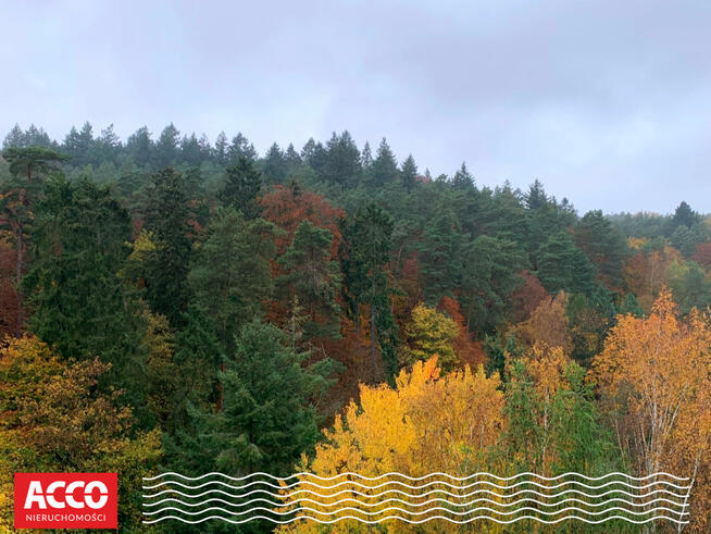 Mieszkanie Sopot, Adama Mickiewicza