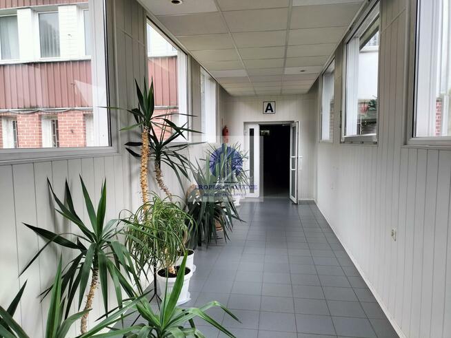 Lokal użytkowy Warszawa Mokotów, Siekierki, Bartycka