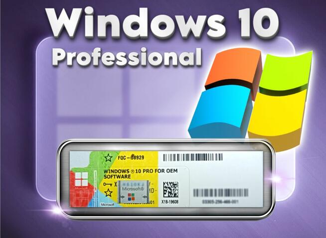 Windows 10 Professional Pro Naklejka COA Klucz Licencja OEM