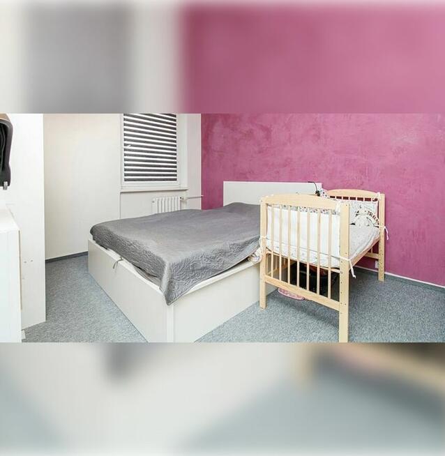 Przytulne mieszkanie 38 m² wynajem