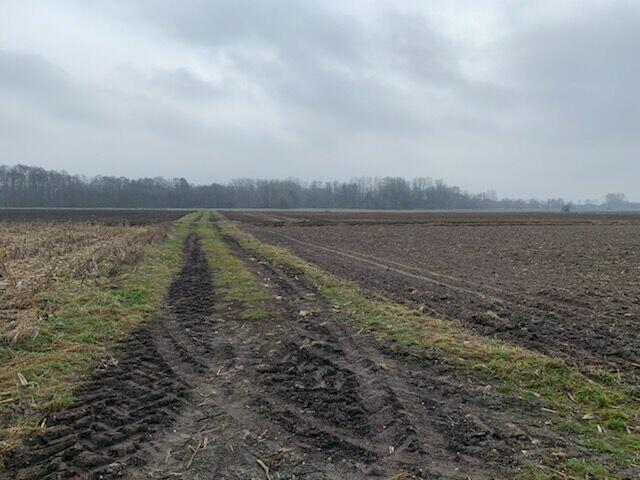 Wiskitki , ziemia rolna - dzierżawa