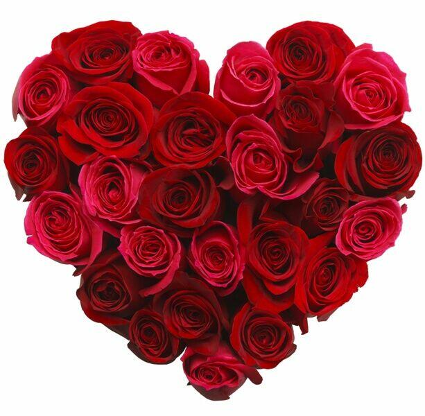 Tutaj chodzi tylko o miłość.