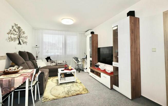 Wynajem 1-pokojowego mieszkania