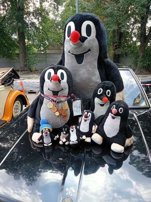 Para 65 plus szukamy Uroczej Koleżanki 65 plus