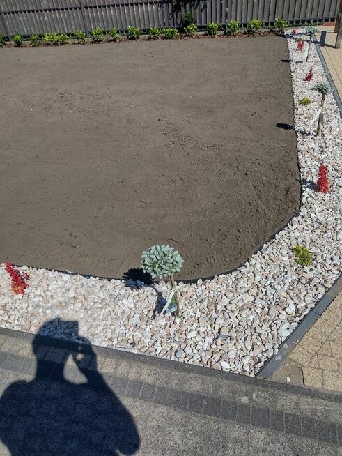 Profesjonalne usługi ogrodnicze