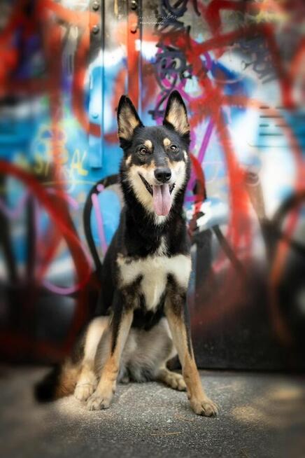 Jedna NUTKA, tysiąc chwil – daj jej dom!